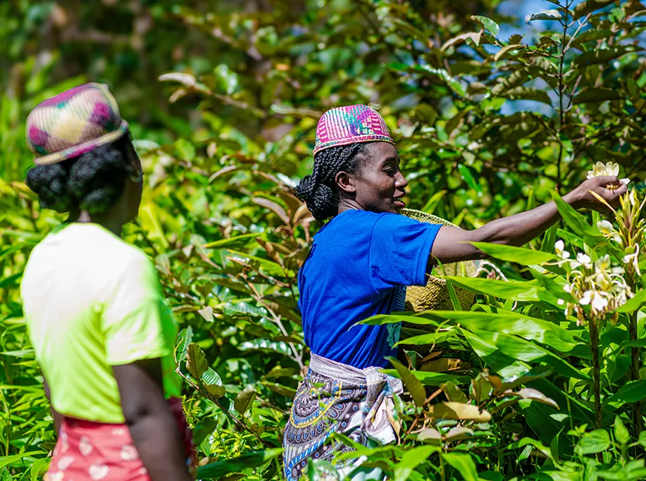Mission of Bionexx Madagascar